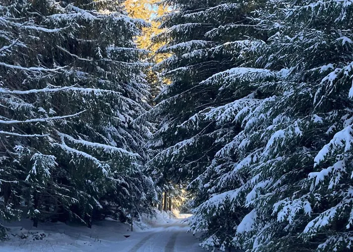 וילה Raxchalet *